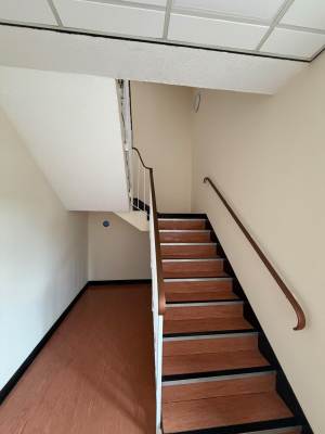 Stairs and landing painted in white with new carpet in Rochester